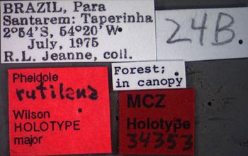 Media type: image;   Entomology 34353 Aspect: labels